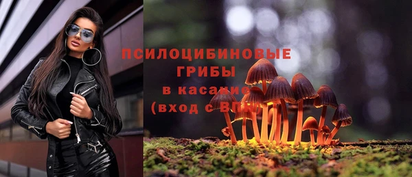 mix Аркадак